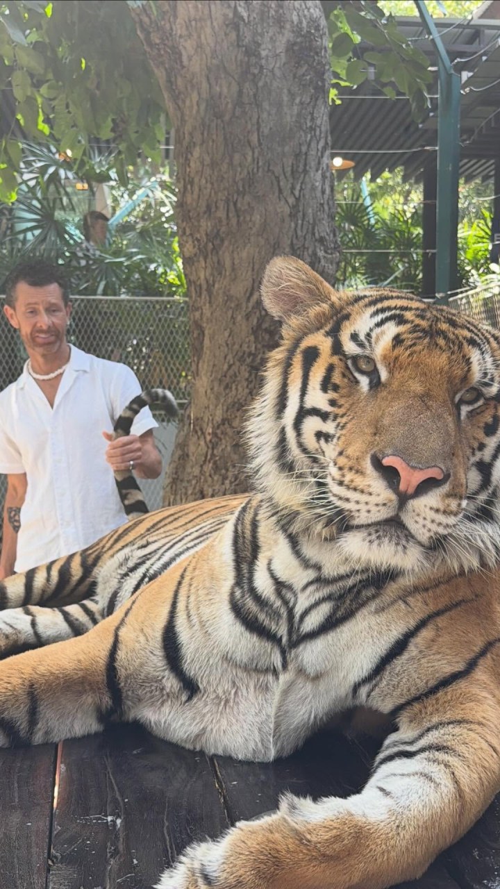 A Near-Death Experience: The Crash