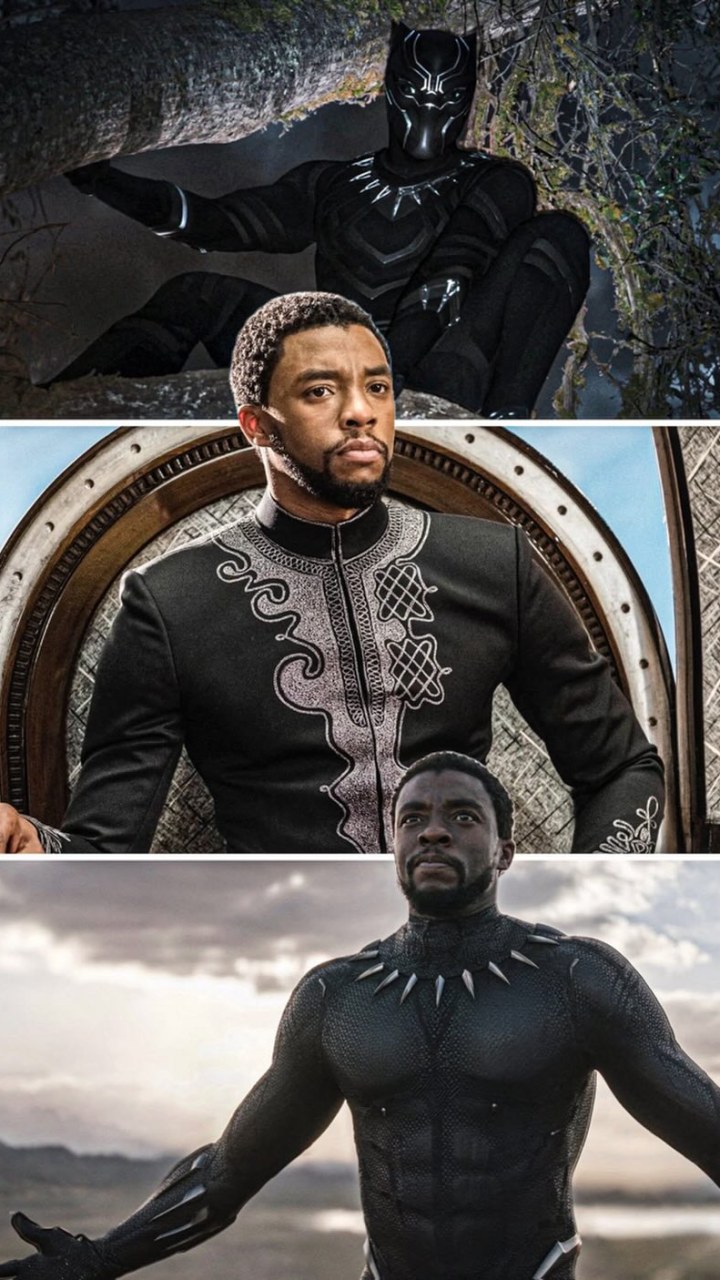 Fan Theories Run Wild